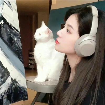 天才碰麻瓜